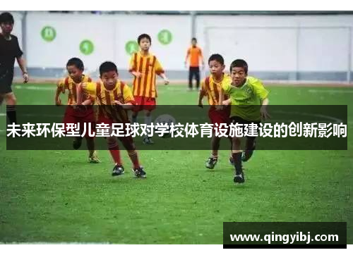 未来环保型儿童足球对学校体育设施建设的创新影响